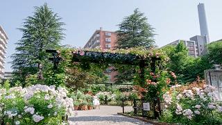 四季の香ローズガーデン