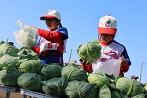 ソフトボール大会