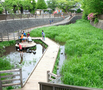 活動写真