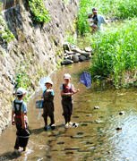 活動写真