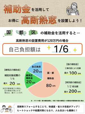 補助金の自己負担割合を表したグラフ
