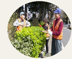 憩いの森の区民管理活動の写真