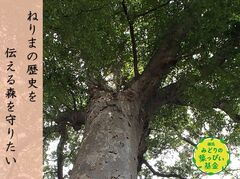 早宮けやきの森コースの写真