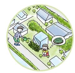 植物に水を与えているイラスト