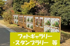 フォトギャラリー・スタンプラリー等