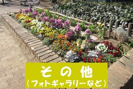 フォト＆ギャラリーコーナー