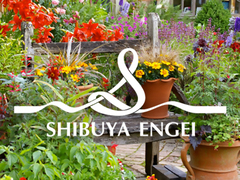 季節の花苗、ハーブ苗販売＆ハーブのワークショップ