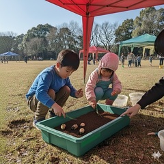 カブトムシ幼虫探し