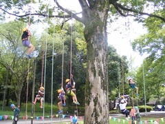 木登り体験