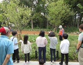 コケや樹木のお手入れ体験の写真