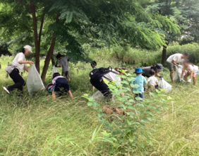 草引っこ抜き競争の写真
