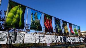 南大泉with農フェスタ2025の画像