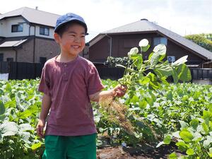 農業体験の様子