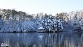 三宝寺池の雪景色の写真