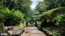 春の風公園の写真