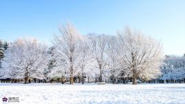 光が丘公園の雪景色の写真