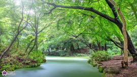 石神井記念庭園の写真