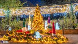 四季の香ローズガーデンのクリスマスイルミネーションの写真