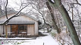 牧野記念庭園の雪化粧の写真