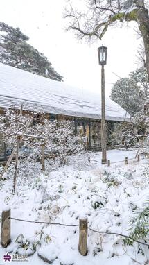牧野記念庭園の雪景色の写真