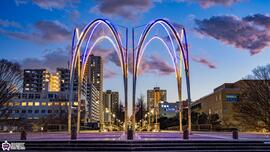 光が丘公園の光のアーチの写真