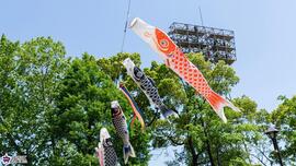 城北中央公園の鯉のぼりの写真