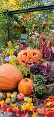 四季の香ローズガーデンのハロウィン飾りの写真