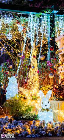 四季の香ローズガーデンのイルミネーションの写真