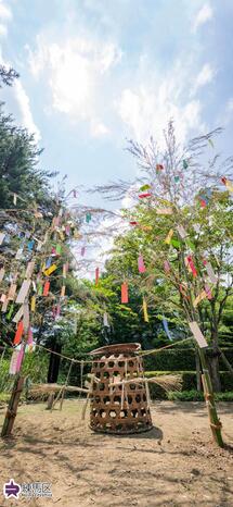 旧内田家住宅の七夕の写真