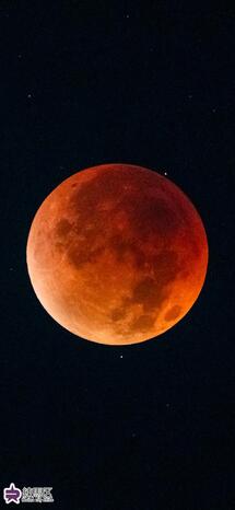 皆既月食の写真