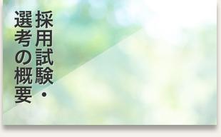 採用試験・選考の概要