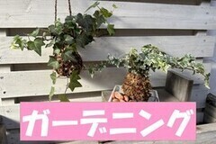 �K�[�f�j���O�R�[�i�[�ւ̃����N