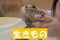 �������̃R�[�i�[�ւ̃����N