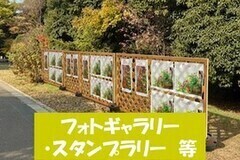 �t�H�g�M�������[�E�X�^���v�����[���ւ̃����N