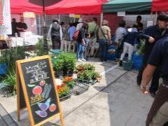 �ǂ��ł��}���V�Fin�x�m����̎ʐ^