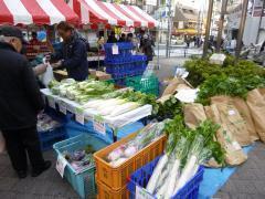 �����}���V�F�̎ʐ^