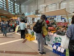 ���n��}���V�F�̗l�q2