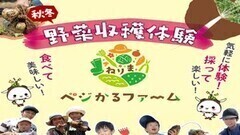 �˂�܃x�W����t�@�[���̉摜