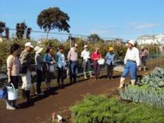 �_�Ƒ̌��_���̍u�K�̗l�q