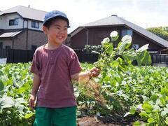 �_�Ƒ̌��̗l�q